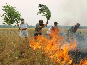 О запрете сжигания сухой травы