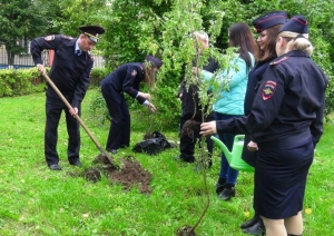 Воскресенские полицейские участвовали в акции «Наш лес. Посади своё дерево»