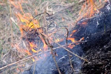 Пожарная сводка недели: жгут мусор и сухую траву