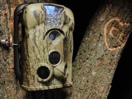 В лесах Подмосковья устанавливают видеокамеры