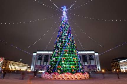 Главную новогоднюю елку страны спилили в Подмосковье