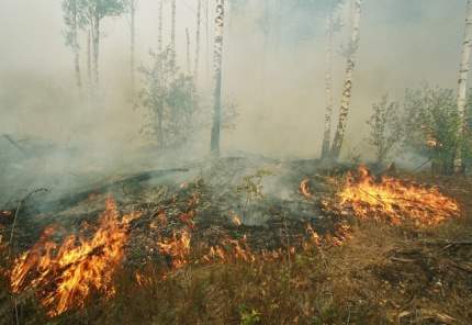 Локализация пожара в Хорловском участковом лесничестве
