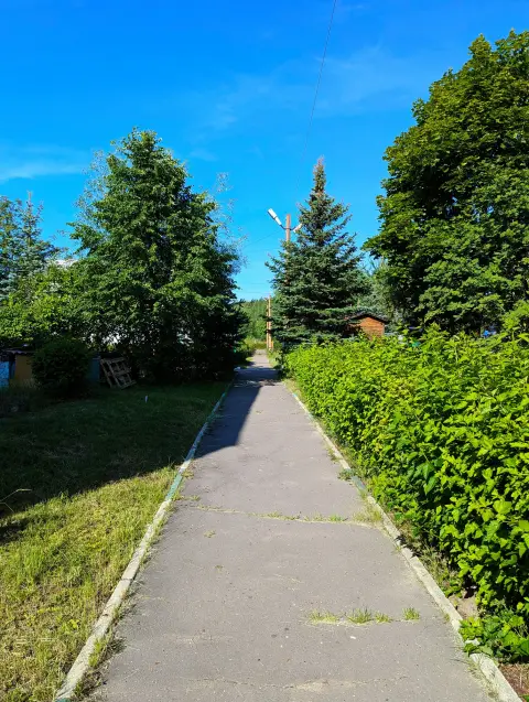 Хорлово - июнь 2025