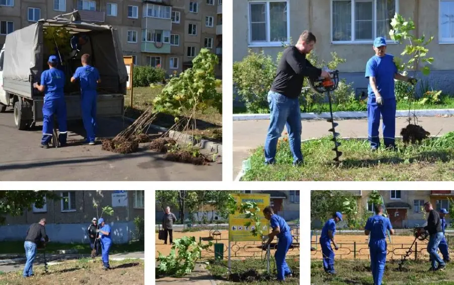Отсутствие жалоб со стороны населения - лучшая награда за наш труд!